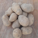 Speise Kartoffeln mehligkochend 3kg Sack